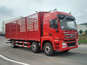 倉柵式8-9.6米載貨車全解析 圖片、參數(shù)、對(duì)比與報(bào)價(jià)指南