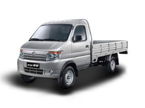 邢臺(tái)神騏T20 2018款 1.3L CNG載貨車標(biāo)準(zhǔn)型單排DAM13R 報(bào)價(jià)、降價(jià)趨勢(shì)與市場(chǎng)分析